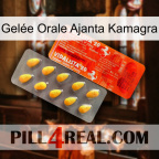 Gelée Orale Ajanta Kamagra new01